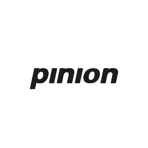 Piniondrivetechnology giphyupload gearbox mgu pinion Sticker