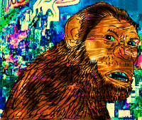 fox glitch GIF by PEEKASSO