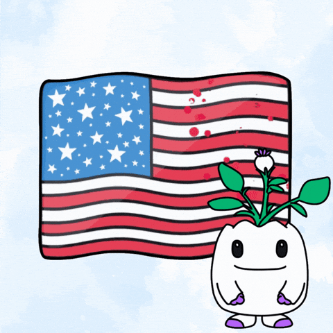 United States Usa GIF by Magic Eden