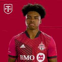 Major League Soccer Football GIF by Toronto FC