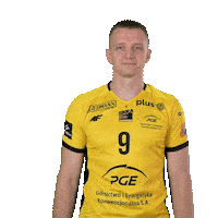 Wave Hello Sticker by PGE GiEK Skra Bełchatów