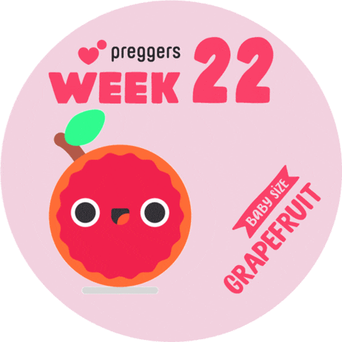 Baby Pregnancy Sticker by Preggers