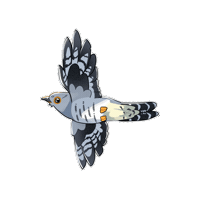 Bird 鳥 Sticker