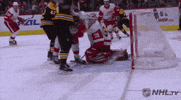 celebrate ice hockey GIF by NHL