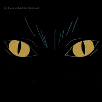 Angry Look GIF by La Guarimba Film Festival
