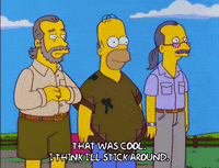 homer simpson episode 6 GIF