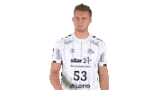 Handball-Bundesliga Top Sticker by LIQUI MOLY HBL