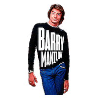 BarryManilow  Sticker