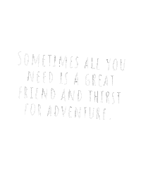 Friends Camping Sticker by Shaka Camper