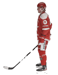 Stjernen Alag Sticker by StjernenHockey