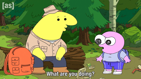 What Are You Doing Wtf GIF by Adult Swim