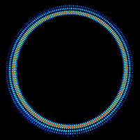 trippy GIF by Challenger