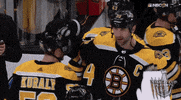 happy ice hockey GIF by NHL