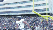 NevadaWolfPack football nevada wolf pack nevada wolf pack GIF