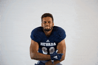 NevadaWolfPack football nevada wolf pack nevada wolf pack GIF
