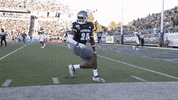 NevadaWolfPack football nevada wolf pack nevada wolf pack GIF