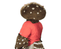 Fau Owls Sticker by Florida Atlantic University