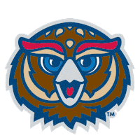 Wink Fau Owls Sticker by Florida Atlantic University