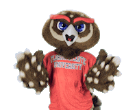 Mascot Fau Owls Sticker by Florida Atlantic University