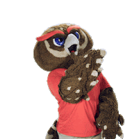 Fau Owls Sticker by Florida Atlantic University