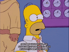 homer simpson episode 20 GIF