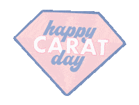 세븐틴 Carat Sticker