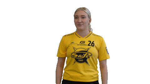 Floorball Salibandy Sticker by F-liiga