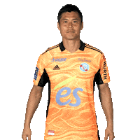 Celebrate Ligue 1 Sticker by Racing Club de Strasbourg Alsace