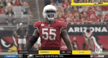 Regular Season Football GIF by NFL