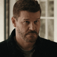 Sealteam Davidboreanaz GIF by Paramount+