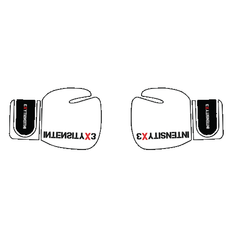 Knock Out Punch Sticker by IntensityX3 Kickboxing