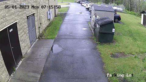 cuteanimalland giphyupload GIF