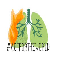 Burning Amazon Sticker