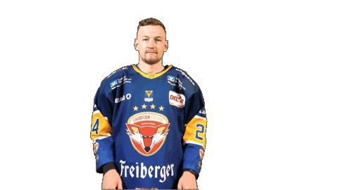 Heart Love Sticker by Lausitzer Füchse