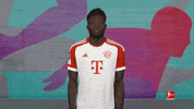Bayern Munich Football GIF by Bundesliga
