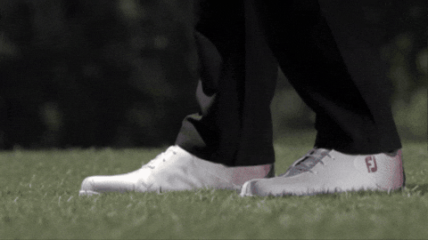 majorworld giphygifmaker GIF