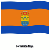 Bandera Andalucia GIF by Formación Ninja