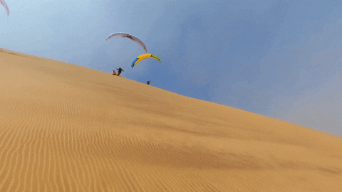desert sliding GIF by Red Bull