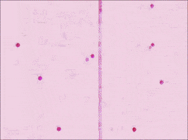 amusement park art GIF by MFD