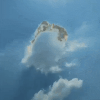 Art Loop GIF by sus4n