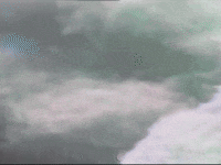 Footage Oaf GIF by jorgemariozuleta