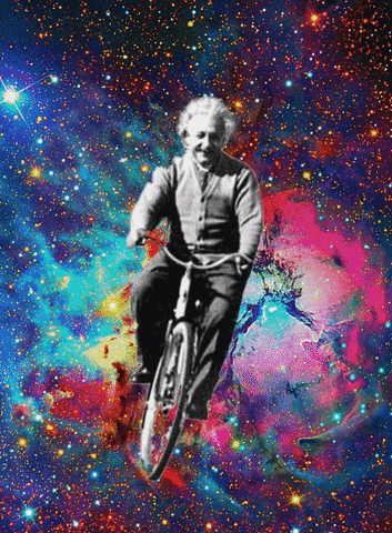 albert einstein GIF