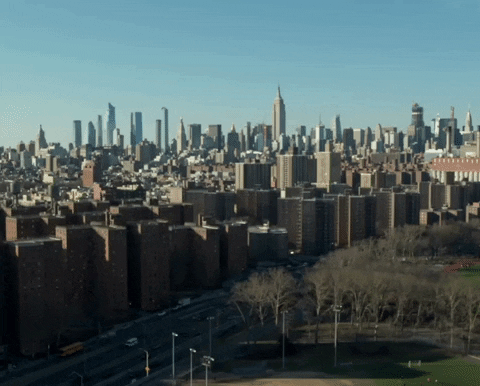 New York Nyc GIF by French Montana