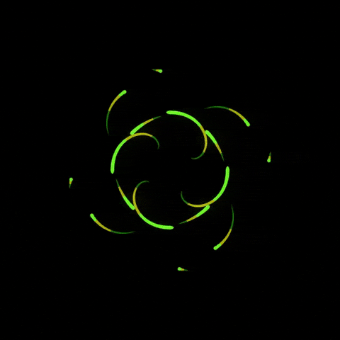 Loop Geometry GIF by xodnnhm