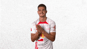 Can Not Wait Smile GIF by RB Leipzig