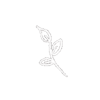 eggxs white nature doodle simple Sticker
