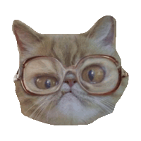 glasses kitties STICKER by imoji