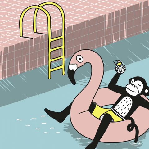 GIF by GMF Design