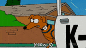 Season 18 Episode 20 GIF by The Simpsons