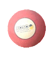 Kickball Sticker by xososports